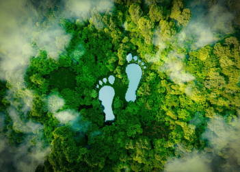 Do you measure your carbon footprint?